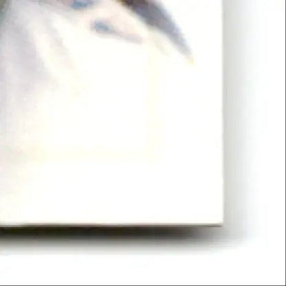 White rectangular canvas with blurred colorful artwork for 1997 Leaf Football Dorsey Levens Green Bay Packers