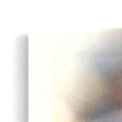 White metallic rectangular object with dark speck, part of 1997 Leaf Football Dorsey Levens Green Bay Packers card