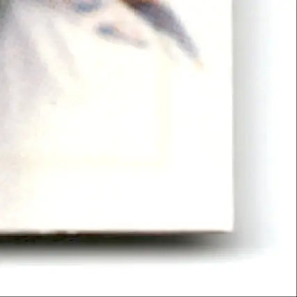 Slightly out-of-focus white card from 1997 Leaf Football Dorsey Levens Green Bay Packers