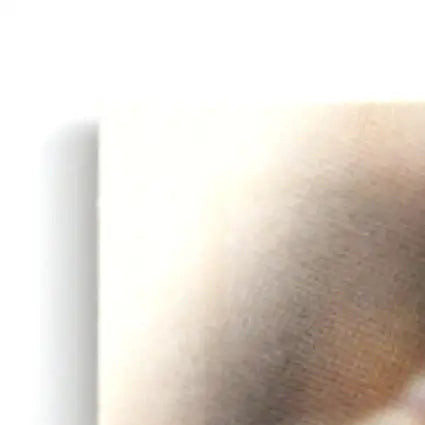 Close-up of skin on Leaf Football Heath Shuler #32 New Orleans Saints football