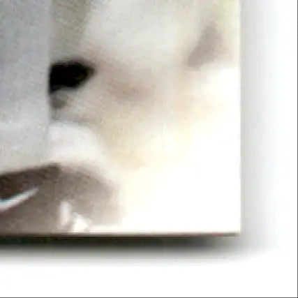 Corner of light-colored canvas print featuring leaf football Heath Shuler #32 New Orleans Saints