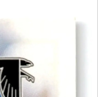Black and silver bird-shaped emblem for Leaf Football Jamal Anderson Atlanta Falcons