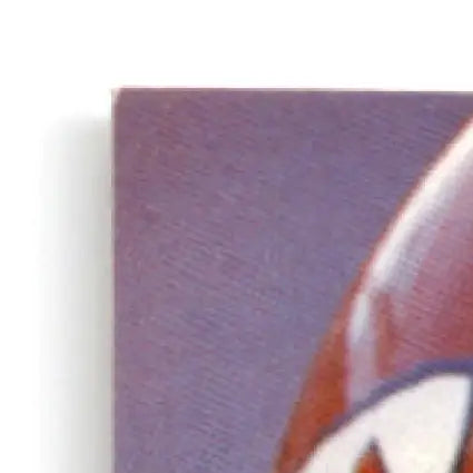 Corner of Leaf Football Neil Neil Smith Denver Broncos comic book cover image