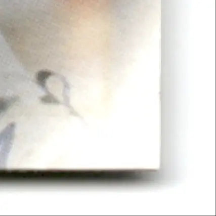 Corner of light-colored canvas print featuring Leaf Football Neil Smith Denver Broncos