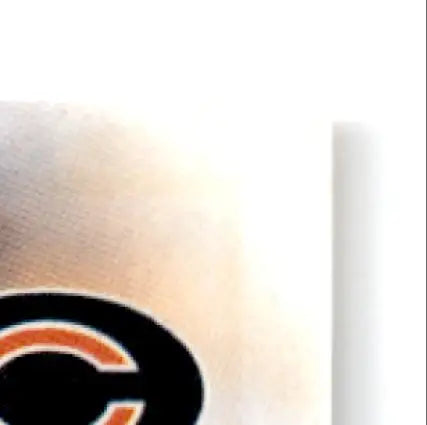 Black and orange embroidered leaf football Rashaan Salaam logo on fabric for 1997 Leaf Football Rashaan Salaam #73 Chicago Bears