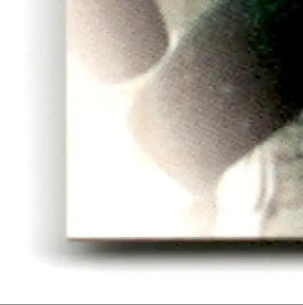 Rectangular canvas print of leaf football Robert Brooks Green Bay Packers abstract art