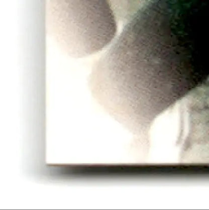 Rectangular canvas print of leaf football Robert Brooks Green Bay Packers abstract art