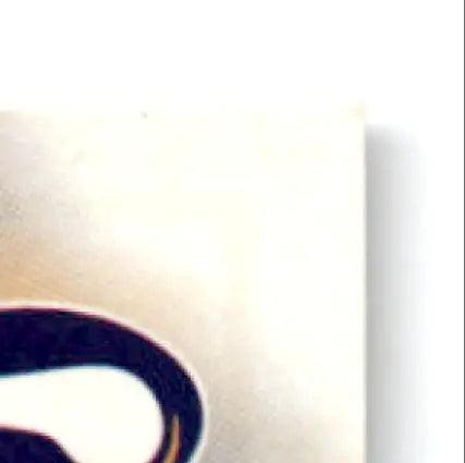 Partial view of leaf football Robert Smith Minnesota Vikings football robert product