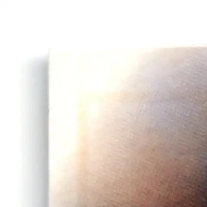 Light textured surface featuring Leaf Football Terry Kirby San Francisco 49ers memorabilia