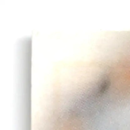 Light-colored marble surface with dark smudge on Leaf Football Tim Brown Oakland Raiders