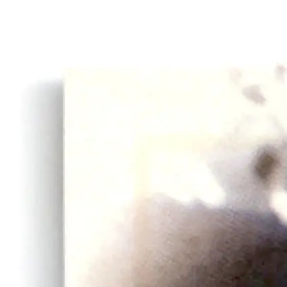 Light-colored soft fabric with brown markings for Leaf Football Zach Zach Thomas Miami Dolphins