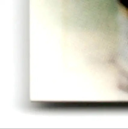 Corner of a white canvas with soft green and brown gradient for Leaf Heath Shuler Orleans Saints artwork