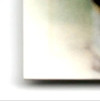 Corner of a white canvas with soft green and brown gradient for Leaf Heath Shuler Orleans Saints artwork