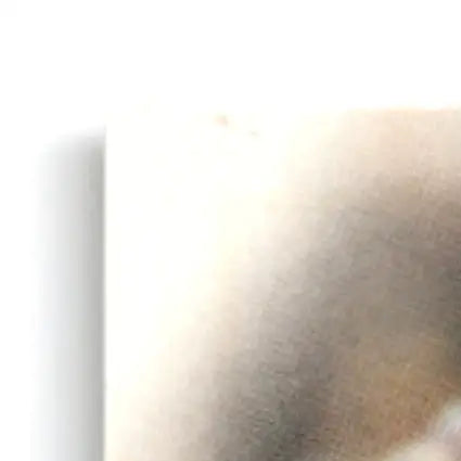 Light-colored wall with faint darker area and spots, featuring Leaf Heath Shuler memorabilia