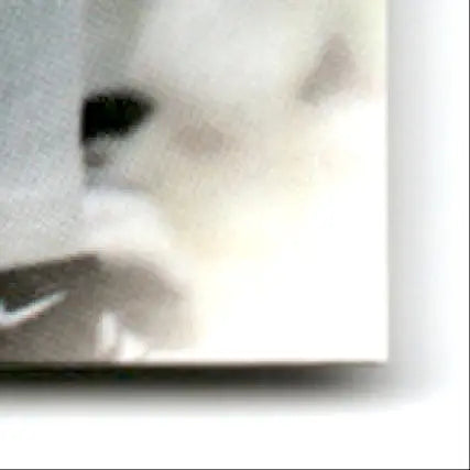 White textured surface with dark shape, featuring Leaf Heath Shuler Orleans Saints memorabilia