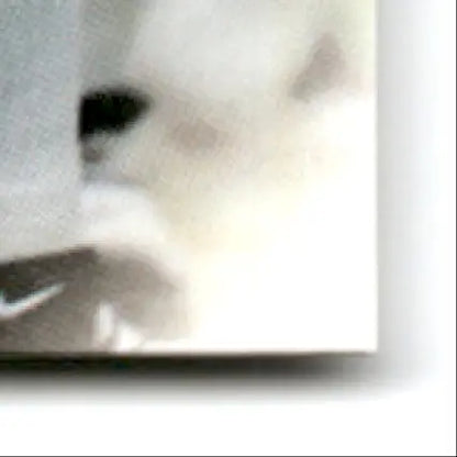 White textured surface with dark shape, featuring Leaf Heath Shuler Orleans Saints memorabilia