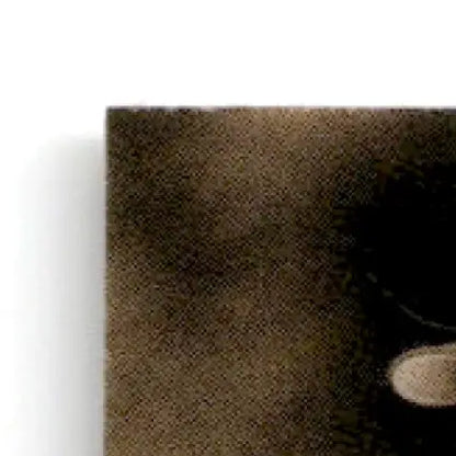 Textured brown fabric with slight sheen for Bowman Baseballs Best Kevin Brown Los Angeles Dodgers product