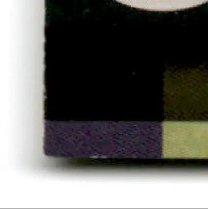 Book with black cover and multicolored edge from 1999 Collector’s Edge Football Advantage Jerome Bettis