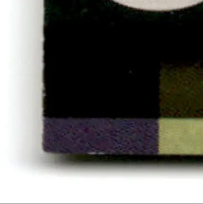 Book with black cover and multicolored edge from 1999 Collector’s Edge Football Advantage Jerome Bettis