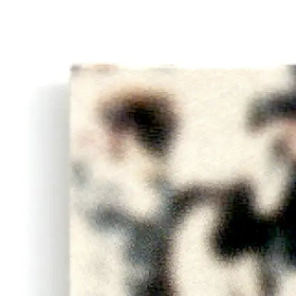 Spotted animal print pattern on fabric for Fleer Football Ultra Jerry Rice Oakland Raiders card