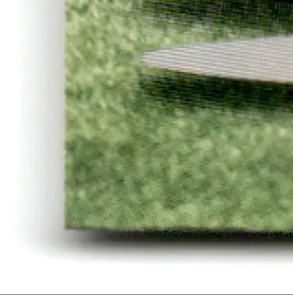 Vibrant green Fleer Football Ultra canvas print of Ultra Jerry Rice #60 Oakland Raiders