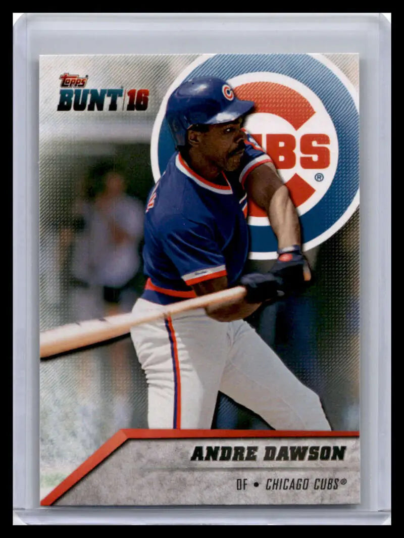 Chicago Cubs Baseball Card of Andre Dawson at Bat in Blue Uniform 2016 Topps Bunt
