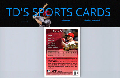 Livan Soto baseball card from Topps Finest Flashbacks #13 collectible series