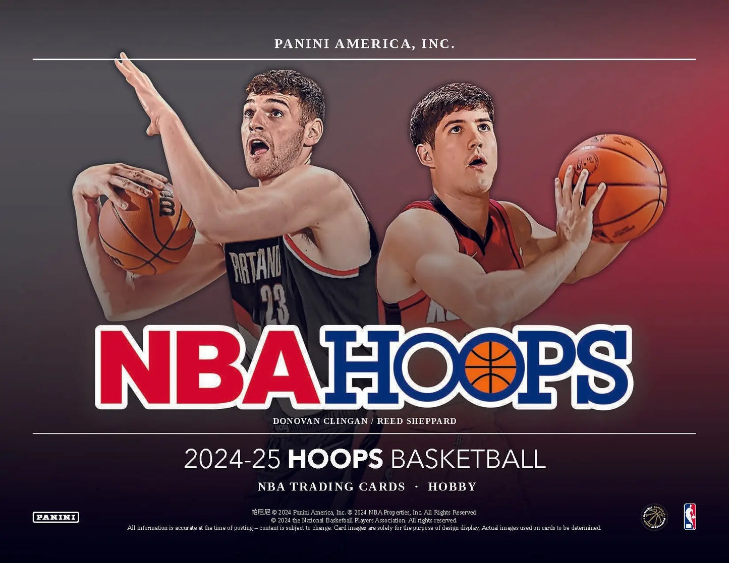 NBA Hoops basketball card from a 2024-25 Panini Hoops Basketball Hobby Box