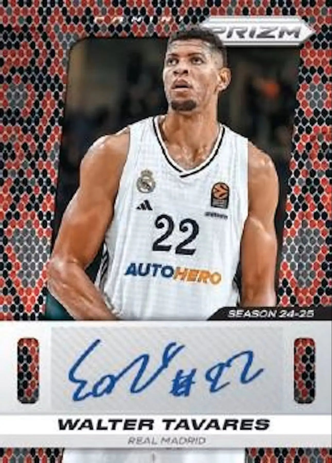 Walter Tavares basketball card from 2024-25 Panini Prizm Turkish Airlines EuroLeague Hobby Box