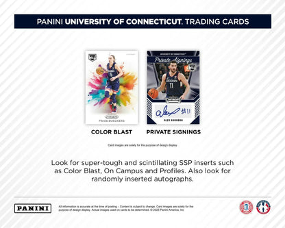 Panini UConn Collegiate Basketball trading cards from 2024-25 Panini UConn blaster box