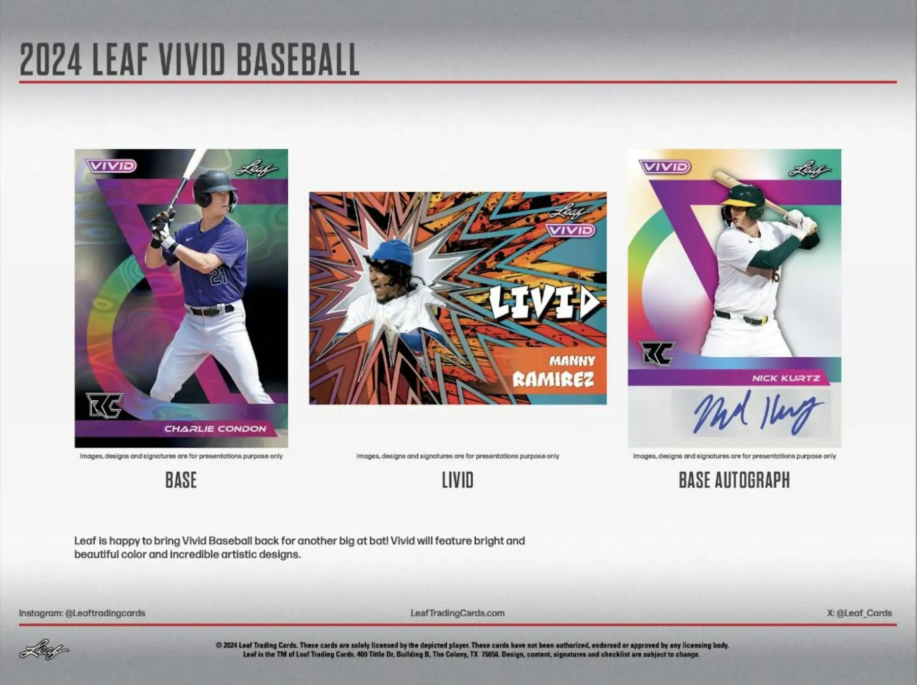 Baseball card collection featuring Leaf Vivid Baseball cards with five autographs inside the 2024 Leaf Vivid Baseball Hobby Box