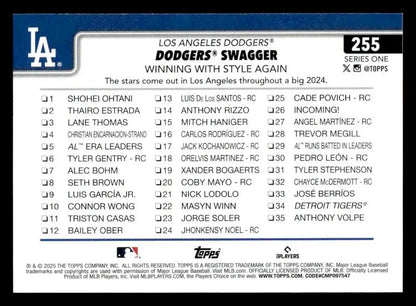 Back of a Dodgers Swagger baseball trading card from the Los Angeles Dodgers series