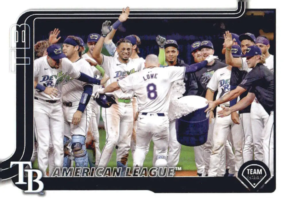 Tampa Bay Rays baseball team celebration featuring Tampa Bay Bay Rays players