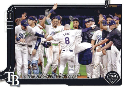 Tampa Bay Rays baseball team celebration featuring Tampa Bay Bay Rays players