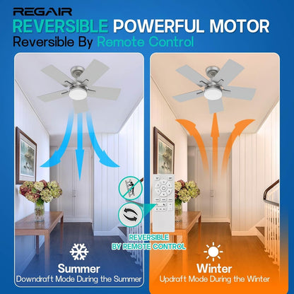 Ceiling Fan 32 Inch, Remote Control DC Motors, 3CCT 3000K-4000K-6500K Dimmable Timer Noiseless, Modern Nickel Compact Ceiling Fans with Light for Indoor & Outdoor-2