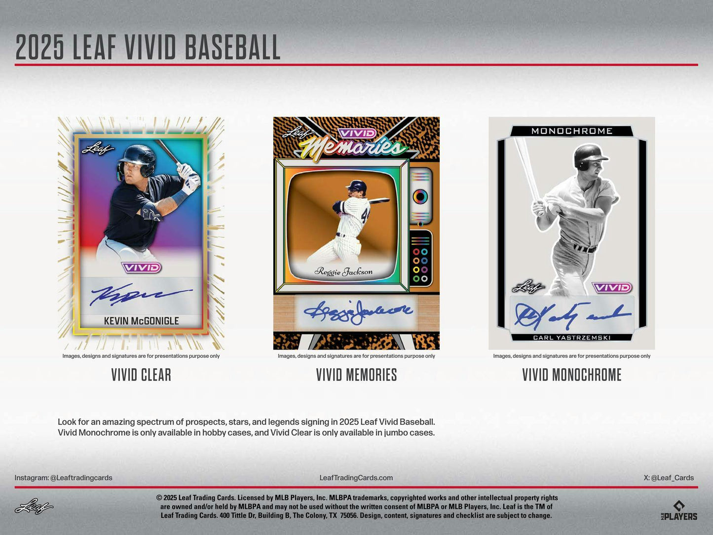 2025 Leaf Vivid Baseball Hobby Jumbo Box | Columbia Sports Cards
