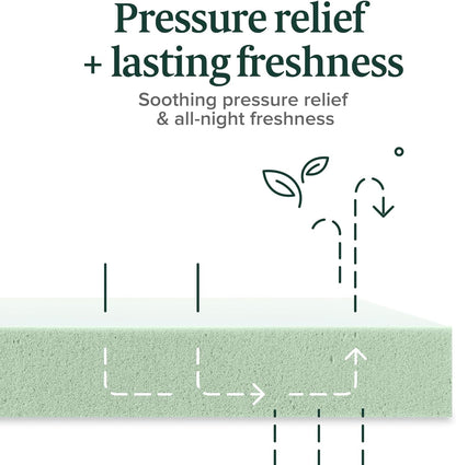 Twin Green Tea Infused Memory Foam Mattress Medium Firm-4