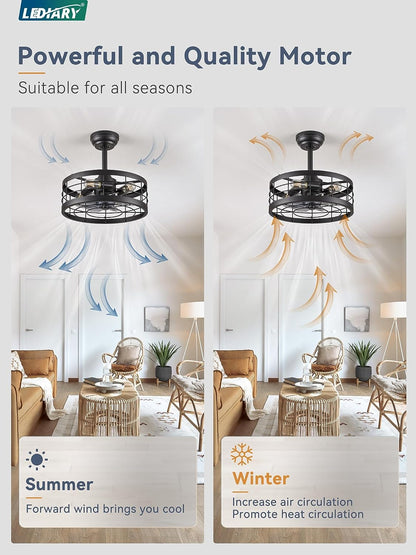 16.5 Inch Black Caged Ceiling Fan with Light, Fandelier Industrial Ceiling Fan with Remote, Farmhouse Fan Lights Ceiling Fixtures for Kitchen, Bedroom, Outdoor（6 Speed, Timing）-Black-2
