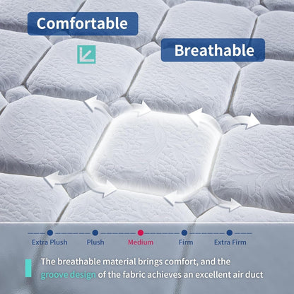 12 Inch Hybrid Mattress with Memory Foam and Springs-2