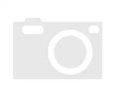 8.3 ft. 6.2 ft. Sturdy Outdoor Polycarbonate Greenhouse with Grey Metal Frame - Greenhouse