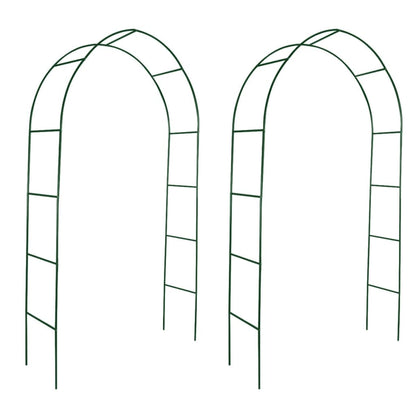 vidaXL Garden Arch 2 pcs Climbing Plants-0