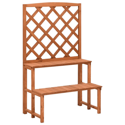vidaXL Plant Rack 2-Tier Plant Stand with Trellis Flower Pot Stand Solid Wood-1