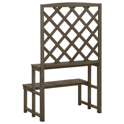 vidaXL Plant Rack 2-Tier Plant Stand with Trellis Flower Pot Stand Solid Wood-2
