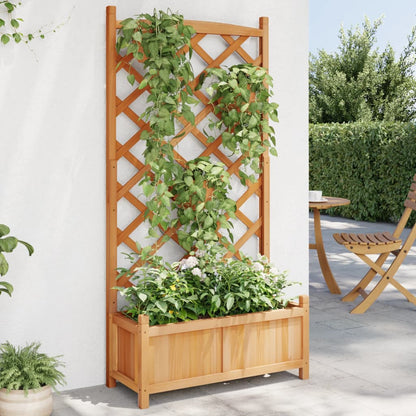 vidaXL Planter with Trellis Brown Solid Wood Fir-0