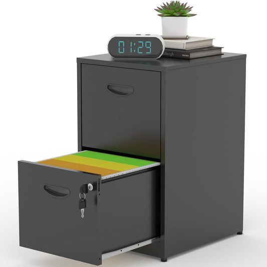 2 Drawer Filing Cabinet with Lock, Black Metal File Cabinets for Home Office, Light Duty Locking Vertical File Cabinet, Steel File Storage Cabinet for Hanging Letter Size File - Assembly Required-0