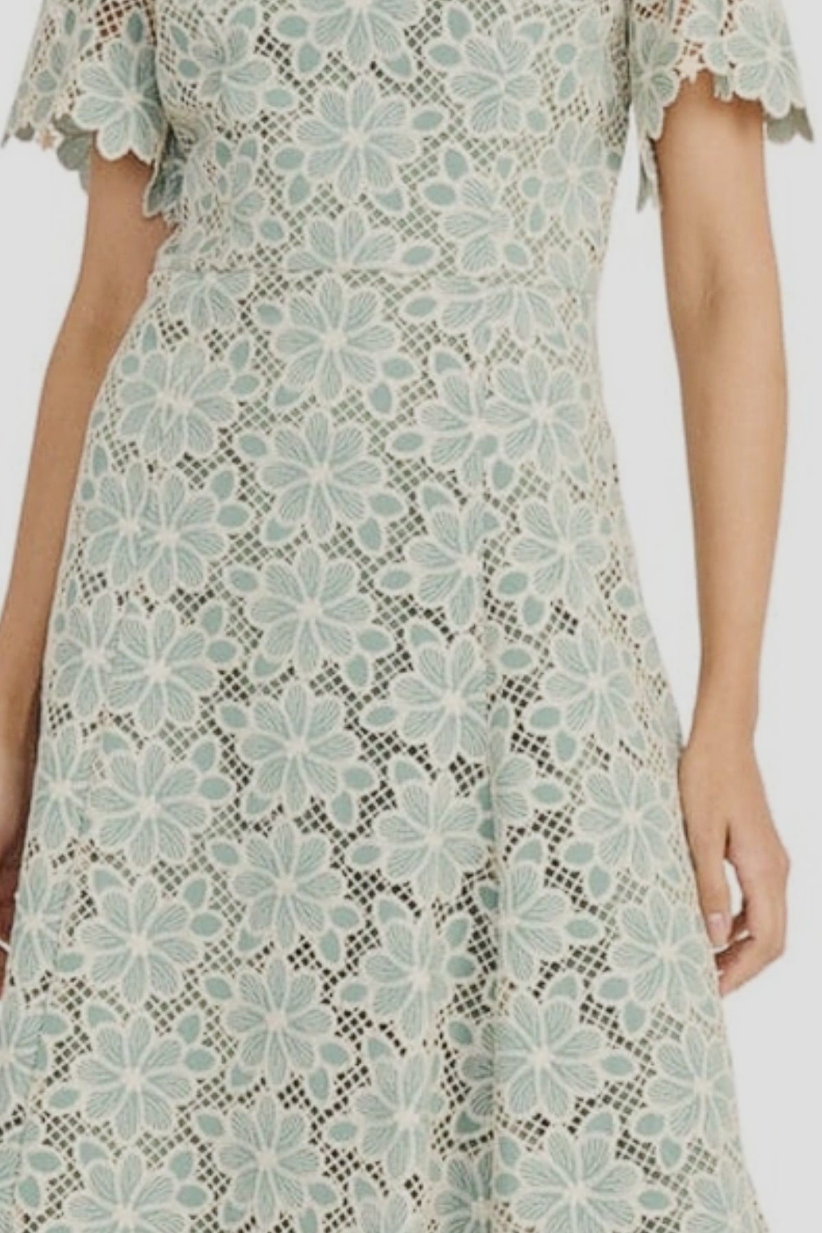 Maggy London Green Cream Day Dress Sizes 4 & 6 Remaining!