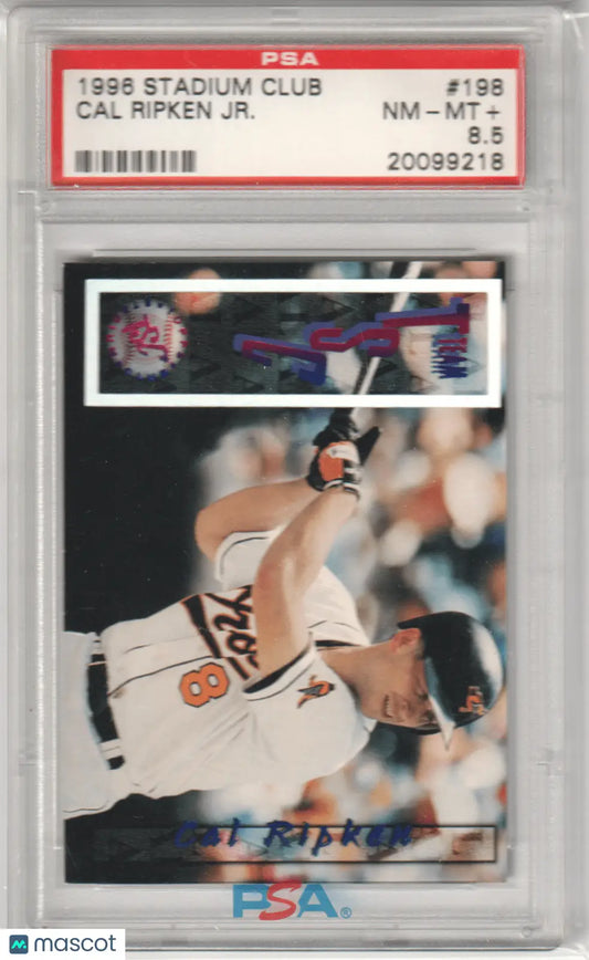 Graded Cal Ripken Jr. 1996 Topps Stadium Club baseball card from Columbia Hobby