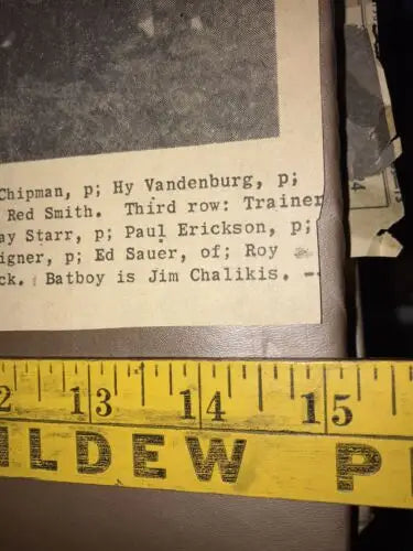 Chicago Cubs 1945 World Series newspaper cut out team picture 9x15 roster clipping