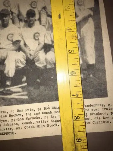 Vintage Chicago Cubs 1945 World Series newspaper cut out team picture 9x15 format