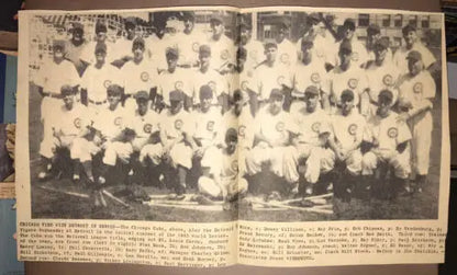 Vintage Chicago Cubs World Series newspaper cut out team picture 9x15 from 1945